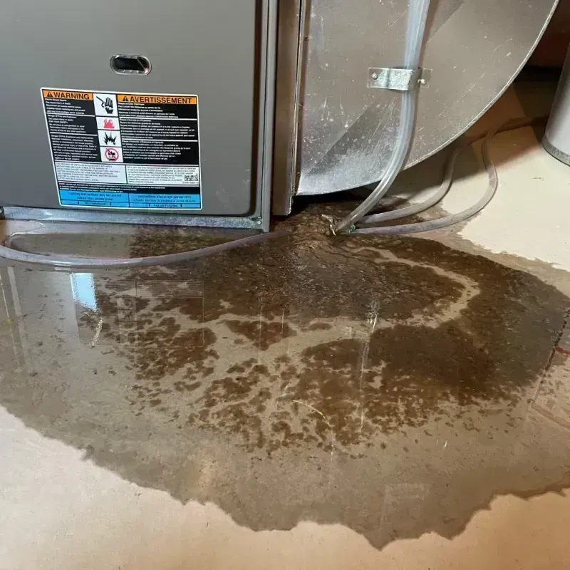 Appliance Leak Cleanup in Peoria County, IL